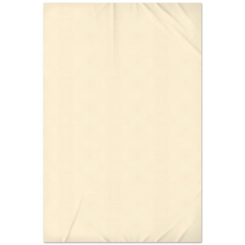 USA Flat Sheet - Twin (66" x 100") / No Pillowcase