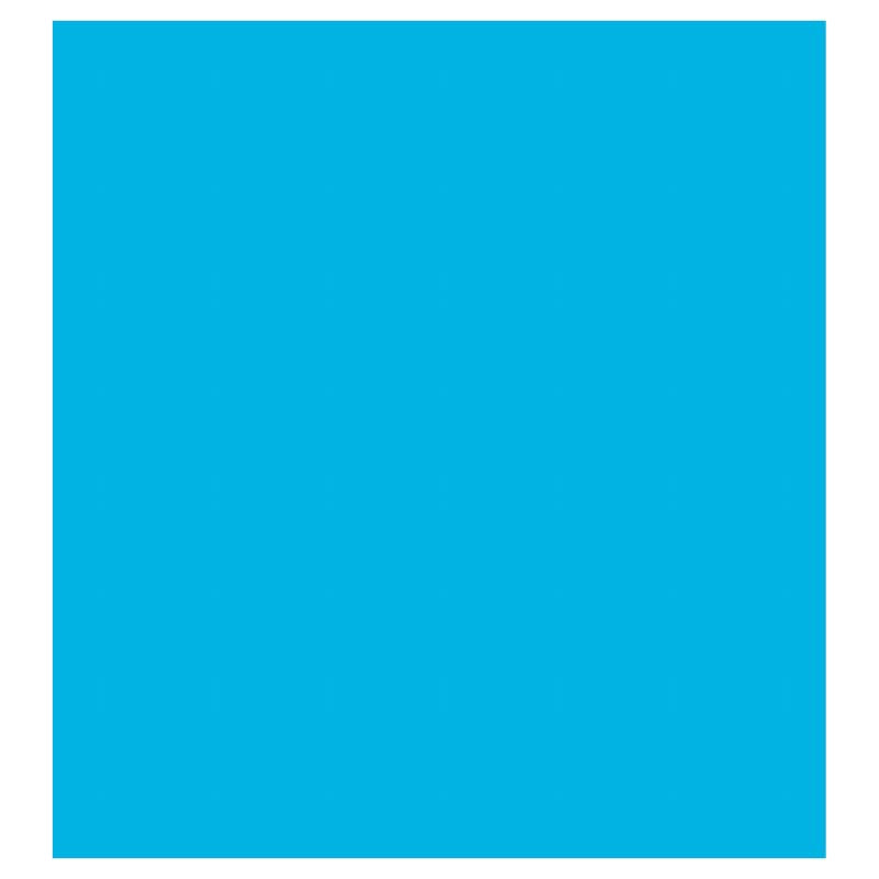 Curtains - 2 1/2'' Eyelets (Silver) / Interlined (3 layers)