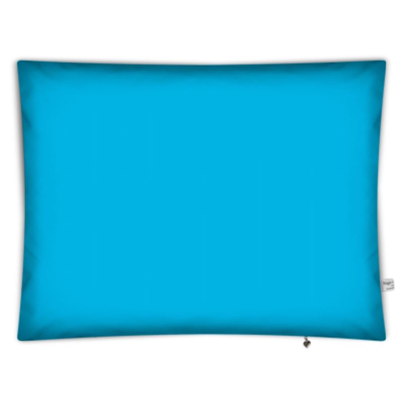 Floor Pillows - Medium Rectangle 32 x 24" / Pale Blue / Ready to use! Cover lining & beans