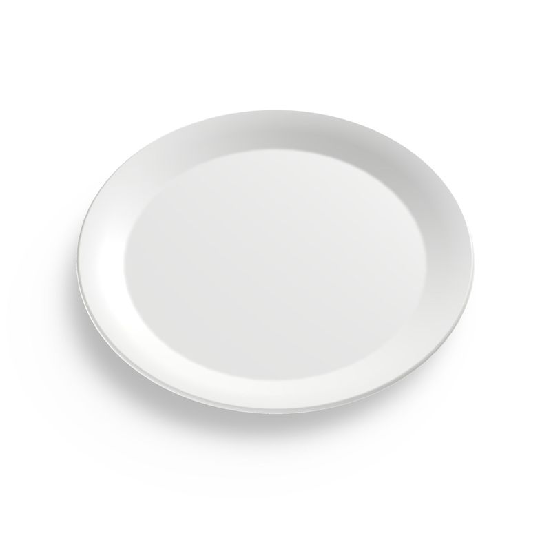 Party Plates - 1 Plate